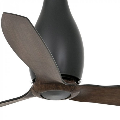 Faro Eterfan Matt Wood