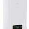 Настенный газовый котел 28 кВт ECA PROTEUS PLUS BLUE 28 HM NG