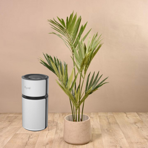 Очиститель воздуха Kyvol Vigoair P5 Air Purifier EA320 Белый с Wi-Fi 