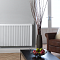 Конвектор электрический TECHNOTHERM TT-KS 1500 s DSM